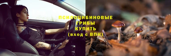 эйфоретик Алексин